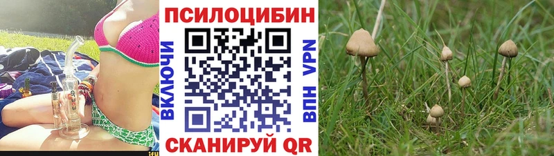 Псилоцибиновые грибы ЛСД  omg ССЫЛКА  Ханты-Мансийск 