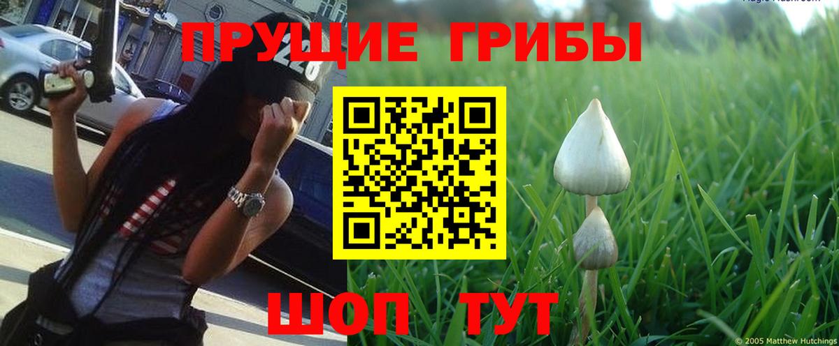 закладка  Вход с VPN  Ханты-Мансийск  Псилоцибиновые грибы MAGIC MUSHROOMS 
