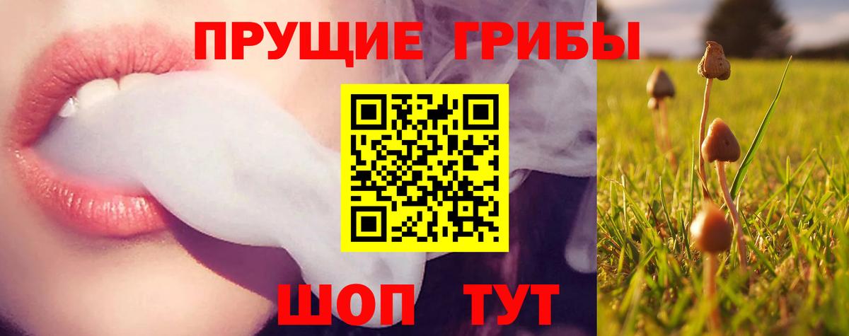 Галлюциногенные грибы Psilocybine cubensis Ханты-Мансийск